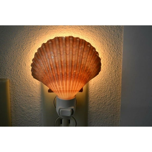 Yellow Mexican Cup Seashell Nightlight