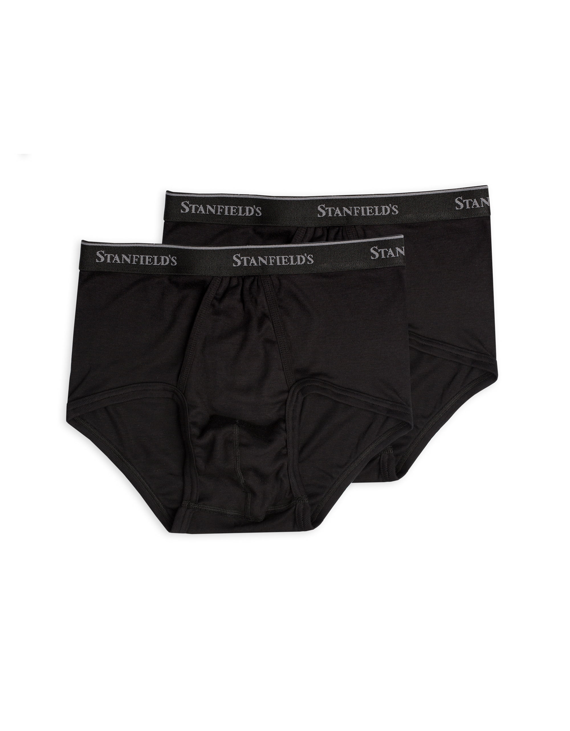 Stanfield's Men's 2 Pack Supreme Cotton Blend Regular Rise Briefs Underwear