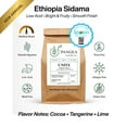 thumbnail image 2 of Pangea Unity Ethiopia Sidama Coffee 10oz – Low Acid, Whole Bean, Medium Roast, 2 of 10