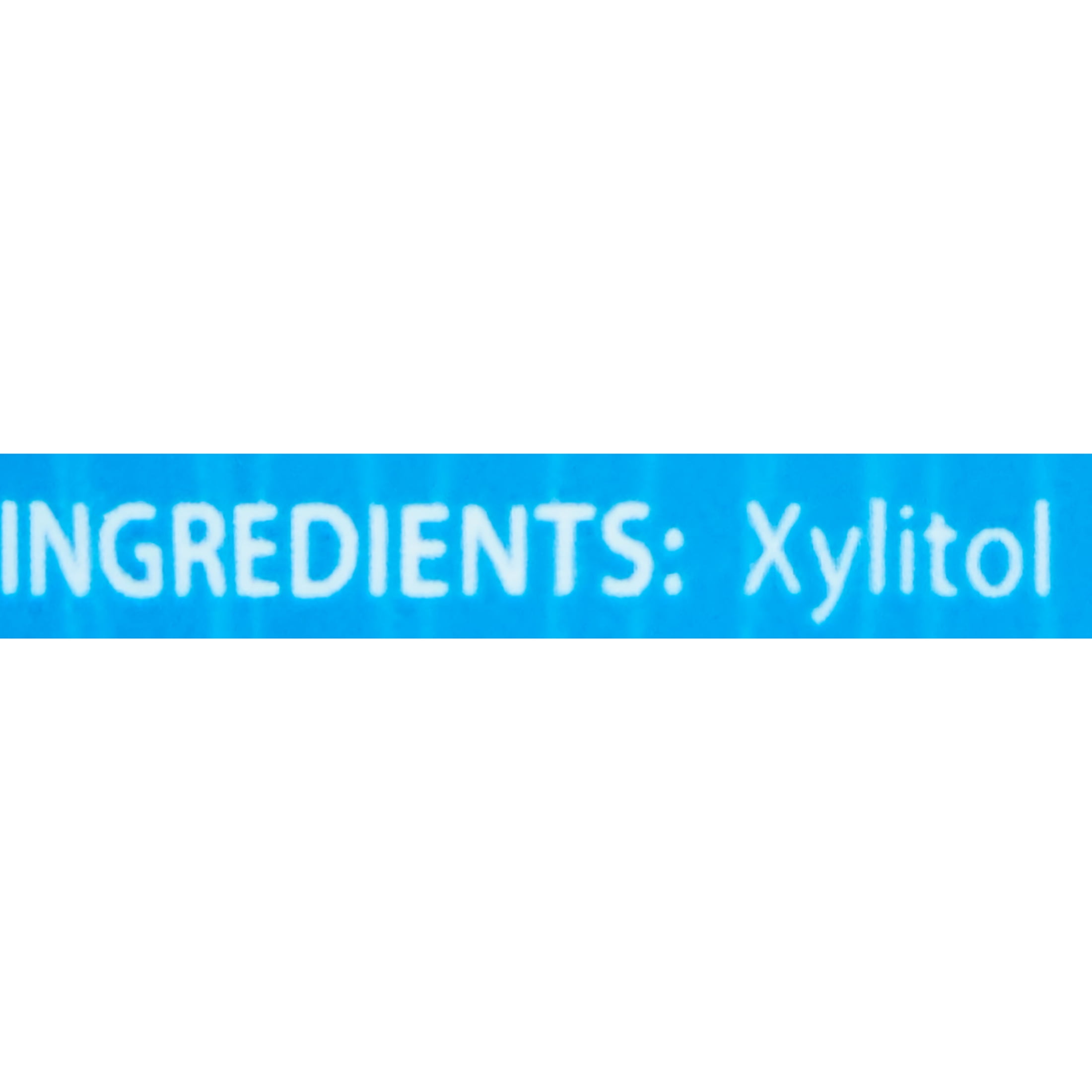 Health Garden Real Birch Xylitol All Natural Sweetener, 1.0 LB