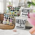 thumbnail image 2 of Easter Pillow Covers 16x16 Set of 4, Gnome Eggs Throw Pillow Covers Pillowcase Black and White Buffalo Plaid Decorations Cushion Case for Home Outdoor Yard, 2 of 5