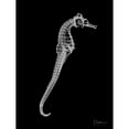 thumbnail image 3 of Koetsier, Albert 19x24 Black Modern Framed Museum Art Print Titled - Seahorse In The Black, 3 of 5