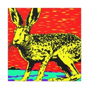 Jackrabbit Pop Art - Canvas