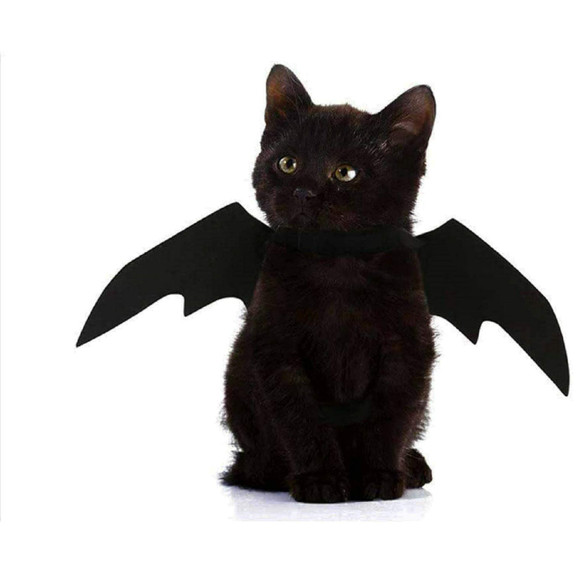 Pet Costume Cute Cats Puppy Bat Wings Dress Up Clothing for ...