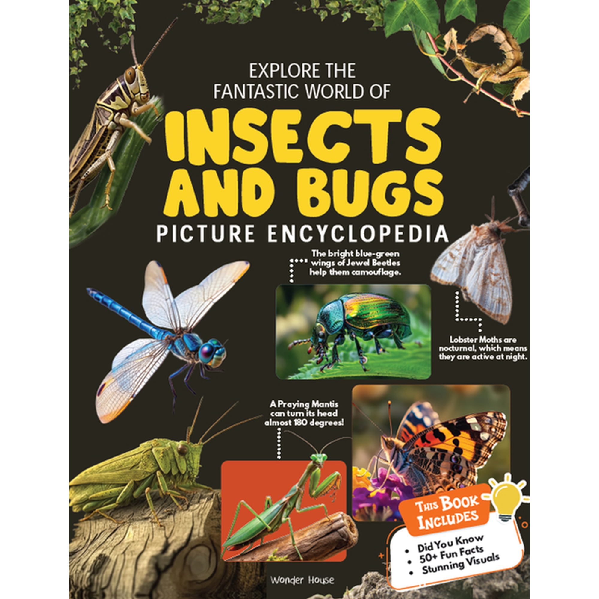 Explore Fantastic World of Insects and Bugs Picture Encyclopedia, (Paperback)