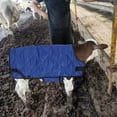 thumbnail image 4 of Chaqueta De Pantorrilla, Manta De Pantorrilla Accesorio Seguro Con Gancho Y Bucle Para Ganado, 4 of 7