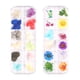 thumbnail image 1 of Flores Secas De Uñas, Esmalte De Uñas De Lentejuelas, Pegatinas De Uñas, Arte De Uñas, 1 of 5