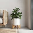 thumbnail image 2 of Raya White Mid-Century Modern Indoor Metal Pot Planter with Arch Wood Base - 14.75" H x 12" W, 2 of 5