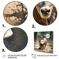 thumbnail image 3 of Designart "African Majestic Antelope Dashing" Animals Canvas Print, 3 of 5