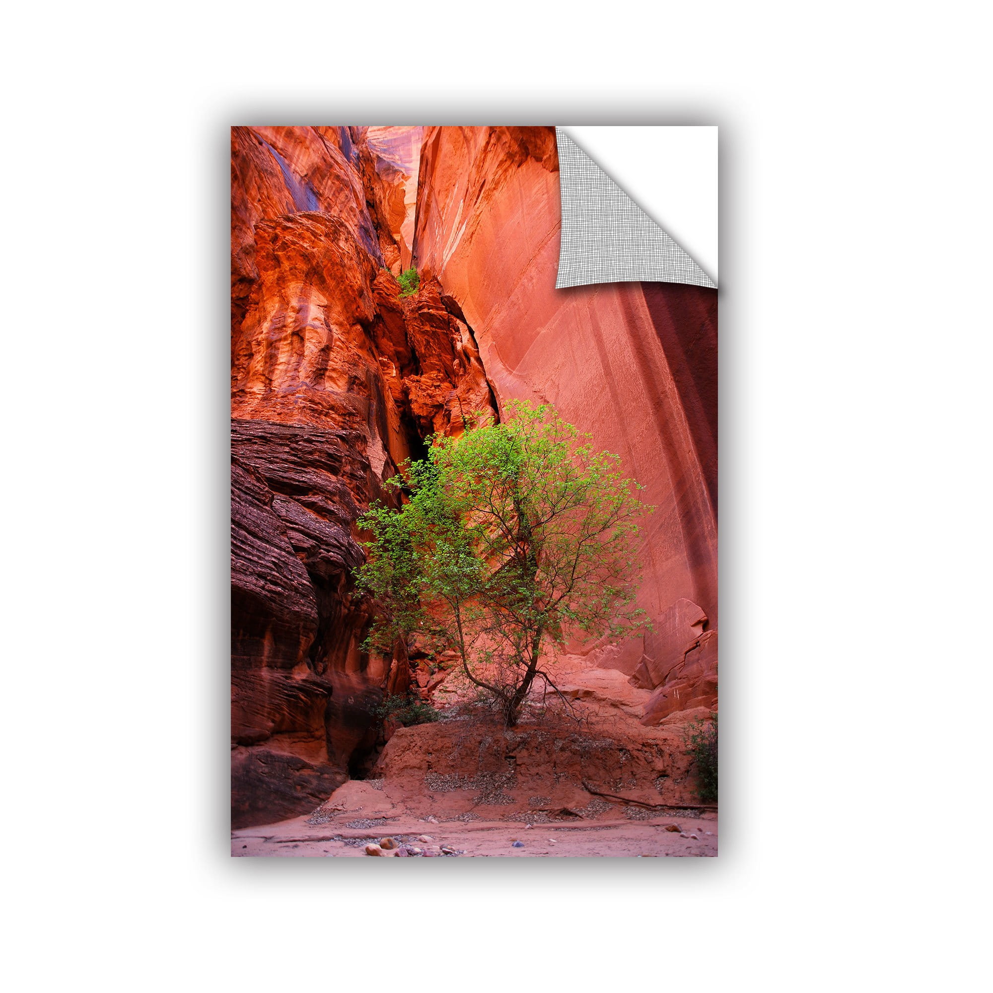 Artwall Dan Wilson Utah Green Tree Red Canyon Artappealz Removable Wall Art Walmart Com Walmart Com