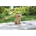 thumbnail image 2 of Hi-Line Gift Ltd Statue de Cochon Marchant avec Ailes, 2 of 5