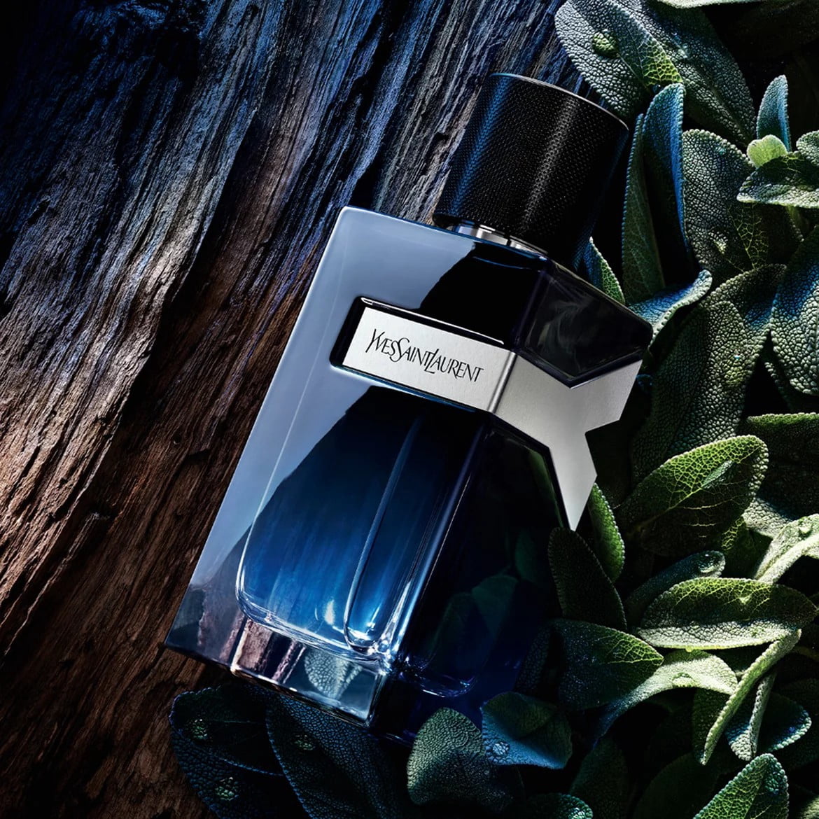Yves Saint Laurent, 3.3 oz EDP Spray for Men, Y, Fresh Woody