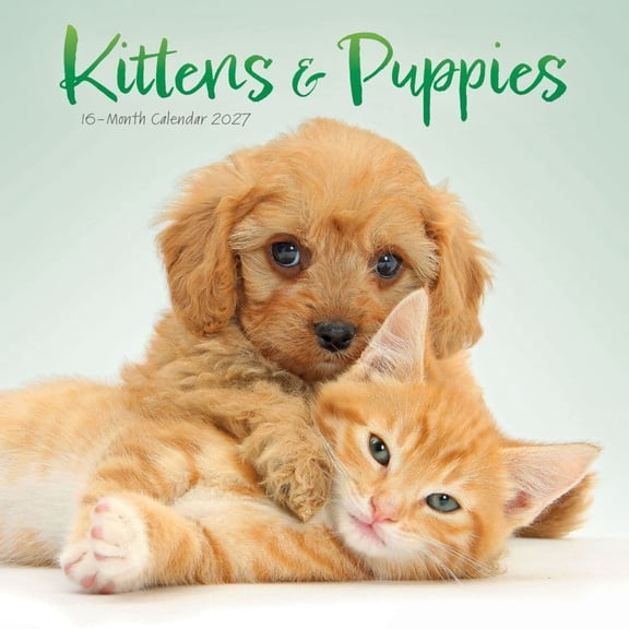 Carousel Calendars, Kittens and Puppies 2027 Mini Wall Calendar