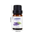 thumbnail image 3 of Pisexur Belleza Maquillaje Exquisito spa botánico con geranio: disfrute de una calma rejuvenecedora y una relajación placentera para una renovada sensación de bienestar. 10para mujeres y hombres, 3 of 8
