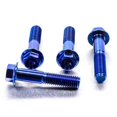 thumbnail image 3 of Titanium Front Caliper Pinch Bolt Kit (TIFBCALIP230), 3 of 6