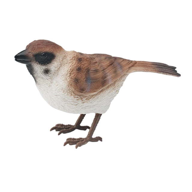 Figura de pájaro realista, figuras de animales para niños y niñas, educación temprana, figuras de animales de pájaro, modelo de pájaro para jardín de gorrión