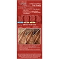 thumbnail image 6 of L'Oreal Paris Couleur Experte Hair Color + Hair Highlights, Light Golden Copper - Brown Ginger Twist, 1 kit, 6 of 11