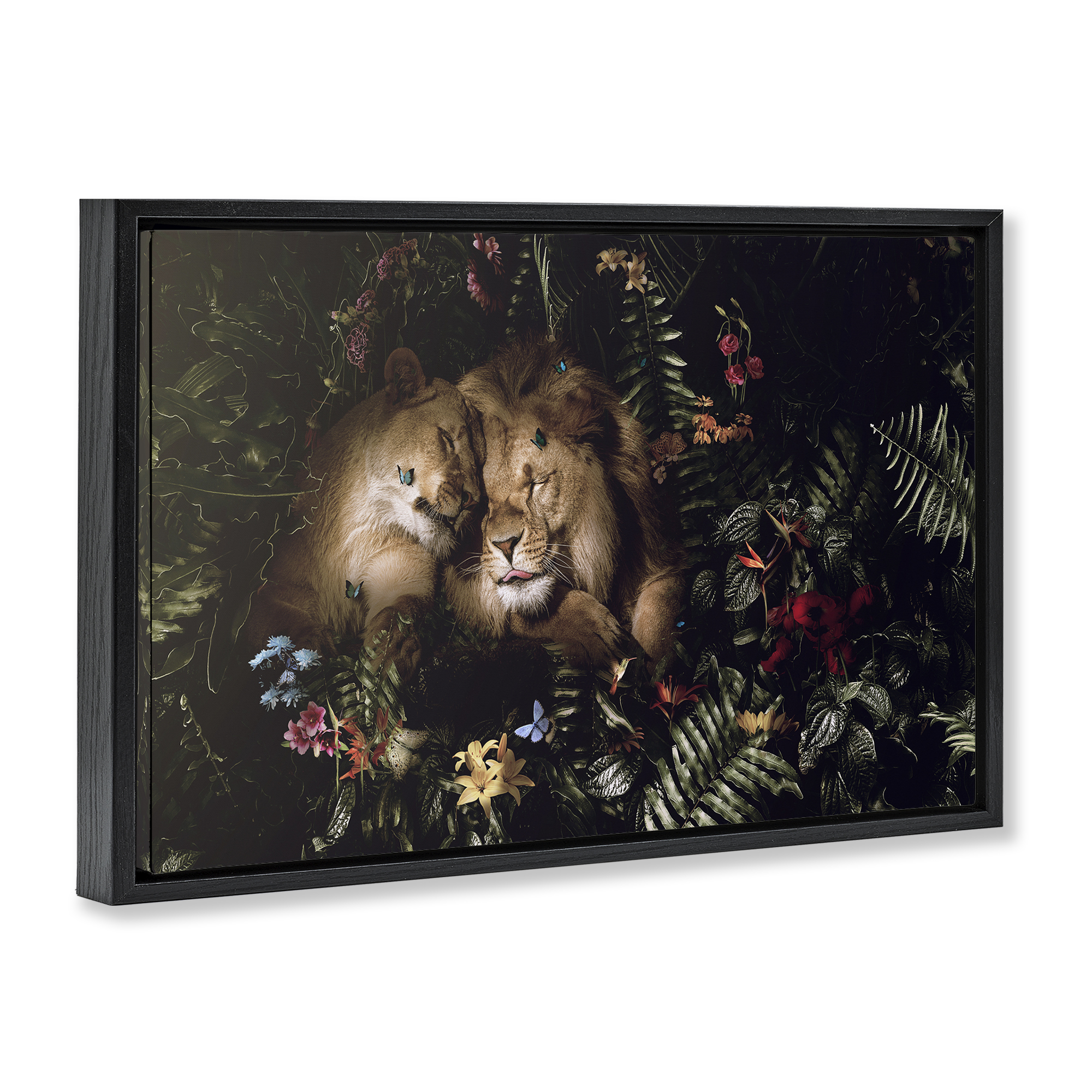 Stupell Industries Cuddling Lions Among Leaves Plants & Flowers Painting Black Floater Framed Canvas Art Print Wall Art, 25 x 17