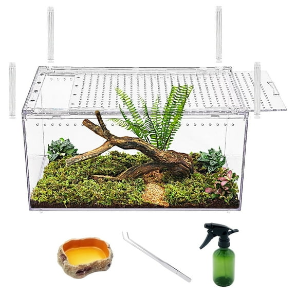 Reptile Terrarium 16" x 10" x 8"， for Insect,Fish,Tarantula,Hermit Crab,Jumping Spider