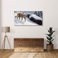 thumbnail image 6 of Epic Art 'Soft Snow-Cougar' by Ron Parker, Acrylic Glass Wall Art, 48"x24", 6 of 8