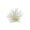 🥝 Beige_New#142, variant on Artificial Coral Aquarium Ornament Luminous Fish Tank Decor • Glow Sea Reef Rock Hideout Shelter • Realistic Plastic Cave Decoration Freshwater Saltwater