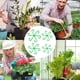 thumbnail image 4 of 200 Piezas de Soporte para Tallos de Plantas, para Tallos de Plantas Trepadoras, Clips de Soporte de Jardín para Alocasia Monstera Roja, 4 of 5