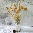 thumbnail image 3 of 100pcs Dried Natural Oval Lagurian Flowers for Home Decor, 3 of 4