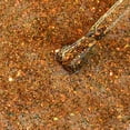 thumbnail image 2 of Glam Resolution, 2 of 6