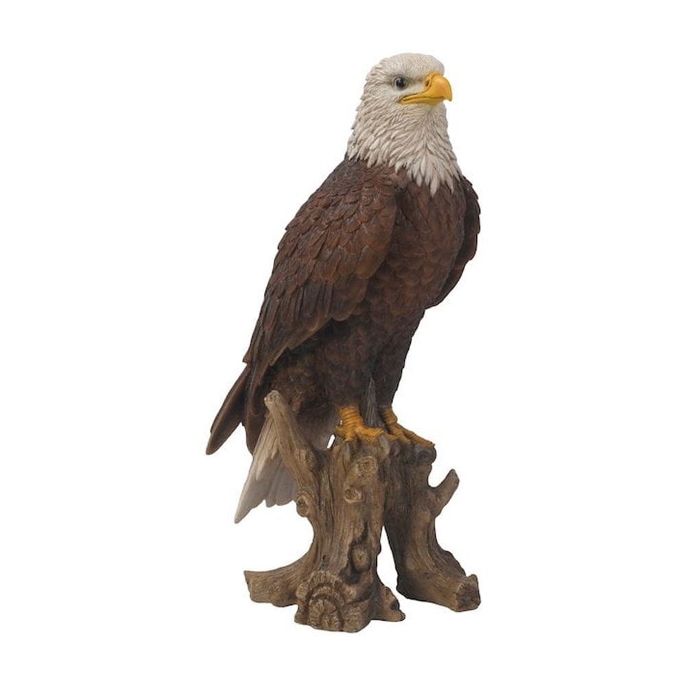 Bald Eagle On Stump