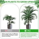 thumbnail image 4 of Soporte para plantas Toystoory Clips de plástico resistente Jardín y Patio, 4 of 6
