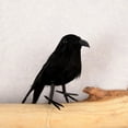 thumbnail image 5 of Farfi Crow Ornaments Eye-catching Delicate Texture Feather Handmade Fake Crow Halloween Decor for Home (Black), 5 of 10