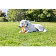 thumbnail image 4 of Juguete para perros Chuckit! Super Crunch Fetch Stick TPR para perros de 9,2 pulgadas, 4 of 7