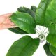 thumbnail image 4 of Paquete de 2 palmeras artificiales de 18 hojas y 81 cm de vegetación tropical artificial para arreglos florales, decoración de interiores, casas, jardines, bodas y patios., 4 of 7