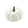 thumbnail image 3 of Calabaza artificial, calabaza de espuma falsa, modelo de calabaza de simulación de cosecha de otoño 65x9cm blanco, 3 of 9