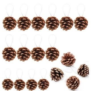 A-Waroom 4 Pcs Pinecones for Decorating Bulk Large 3 to 5 inch Tall Natural  Pine Cones for Christmas Hanging Ornaments Bowl Vase Fillers 