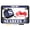 Black, variant on [Officially Licensed Product] - Motorcycle Domed Custom-Made Personalized Metal License Plate Frame Frame with U.S. Navy Seabees Naval Construction Battalions Design - Gold