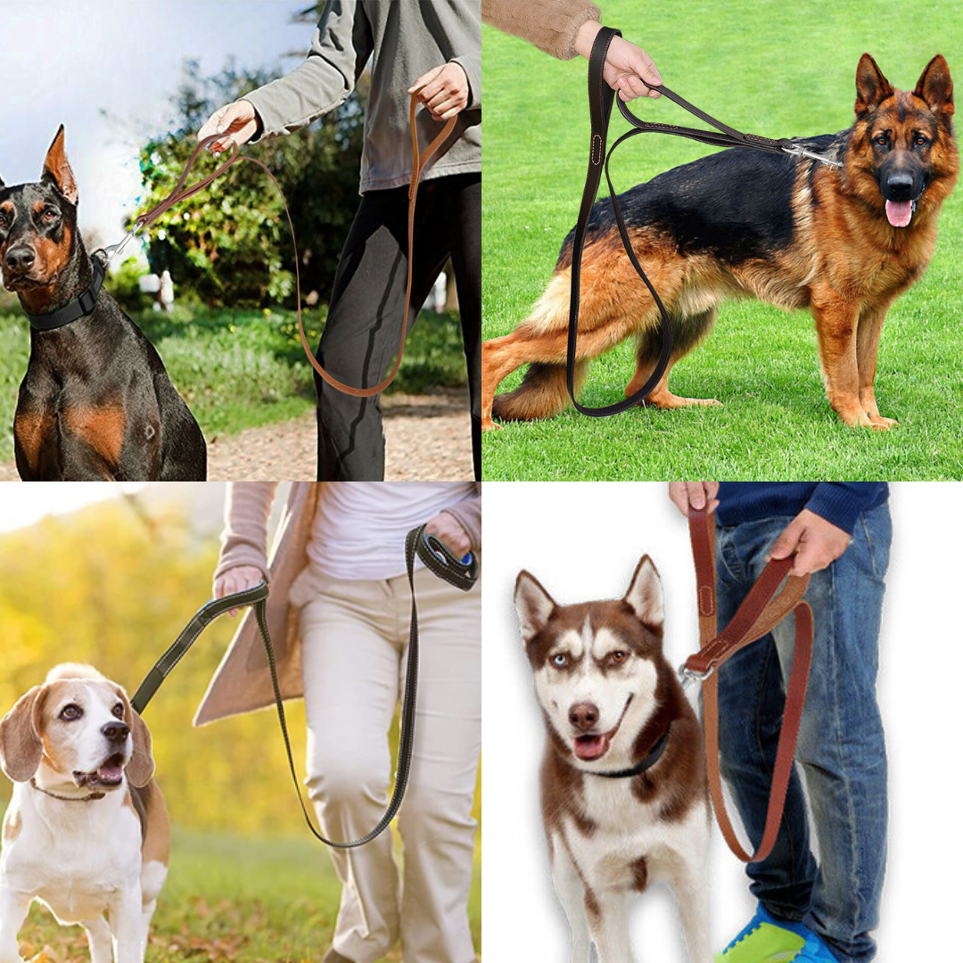 Leather Dog Leash, Genuine Cowhide Braided Pet Leash for Large Dogs, 6ft Easy Control Dog