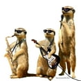 thumbnail image 3 of CafePress - Meerkat Trio2 Light T Shirt - Light T-Shirt - CP, 3 of 4