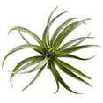 thumbnail image 2 of Nearly Natural 8" Air Plant Artificial Succulent (Set of 12), Green, 2 of 4