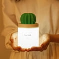 thumbnail image 5 of Humectador dos en uno del estudiante de la oficina de la luz de la noche del humectador LED del cactus de la luz de la noche mini USB, 5 of 5