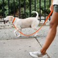 thumbnail image 2 of 2 collares negros para perros, ajustables, de nailon reflectante, estilo clásico, adecuados para perros medianos (M), 2,5 cm de ancho., 2 of 5