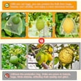 thumbnail image 2 of Xiao Hua 100Pcs Fruit Protection Bags, 6*9Inch Green Fruit Netting Cover Drawstring Mesh Bags Pest Barrier for Strawberry Blueberry Small Fruit（Green）, 2 of 5