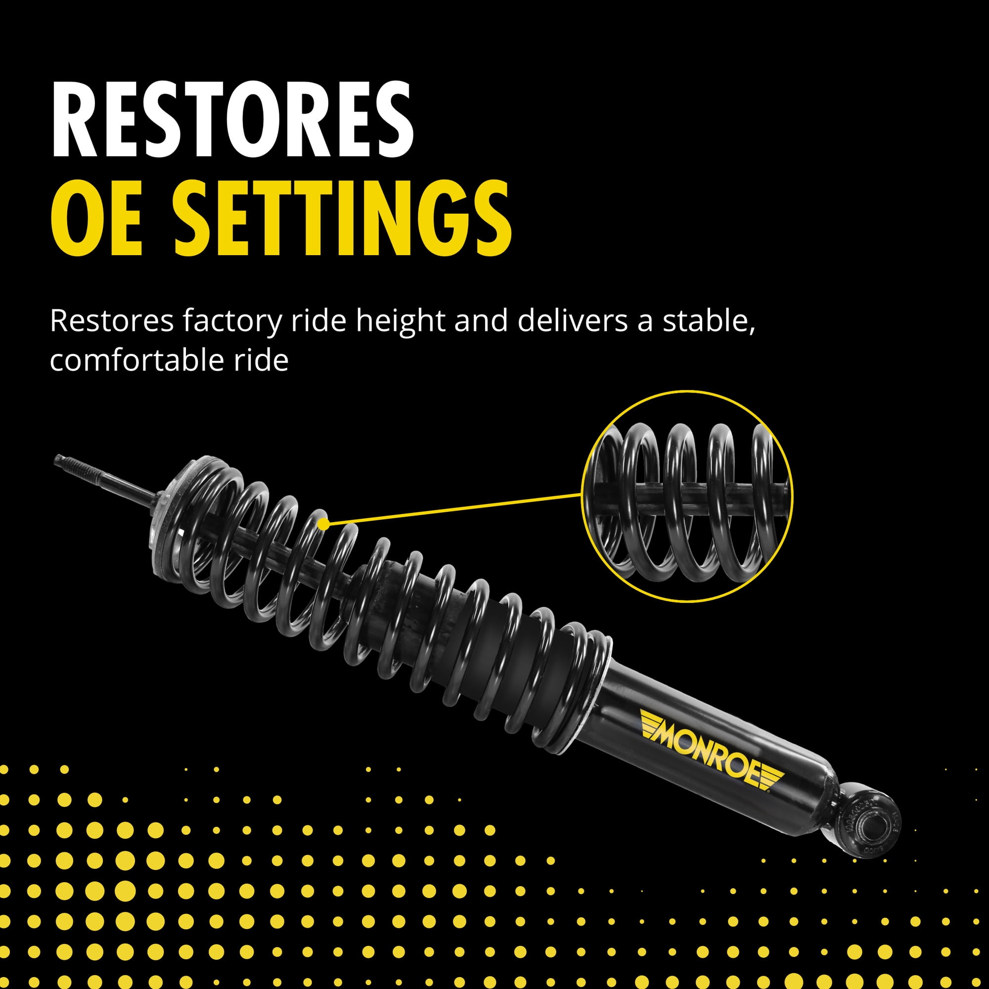 Monroe Shocks & Struts Monroe 90024C Air Spring to Coil Spring Conversion Kit