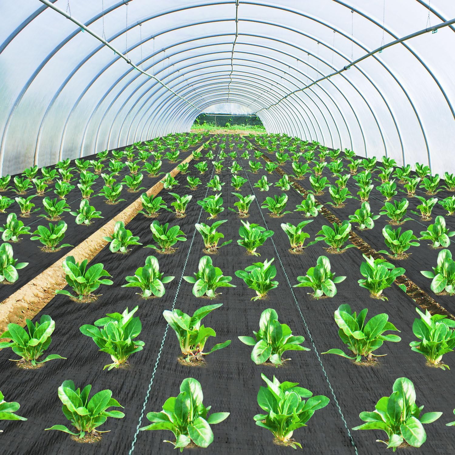Weed Barrier Fabric 3x180FT Landscape Fabric 3.2oz Weed Barrier Fabric Heavy Duty for Landscaping Fabric Garden Fabric Weed Barrier Weed Blocker Garden Bed Cover, Commercial Driveway