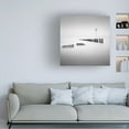 thumbnail image 2 of Canvas Wall Art - Christophe Staelens 'X Stands For' Wall Art for Living Room, Bedroom, or Office D?cor by Trademark Fine Art - 18 x 18 Inches, 2 of 4