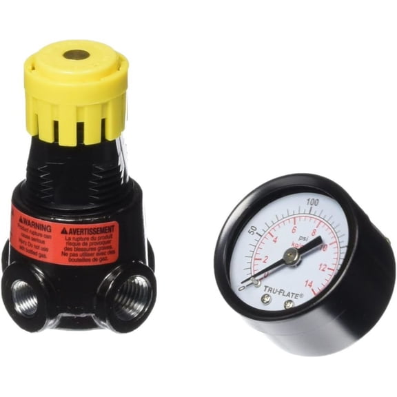 Tru-Flate 1/4 In. NPT 250 PSI Mini Pressure Regulator 27-444