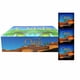 thumbnail image 4 of Oasis Condones Masculinos Caja Con 144 Piezas, 4 of 4