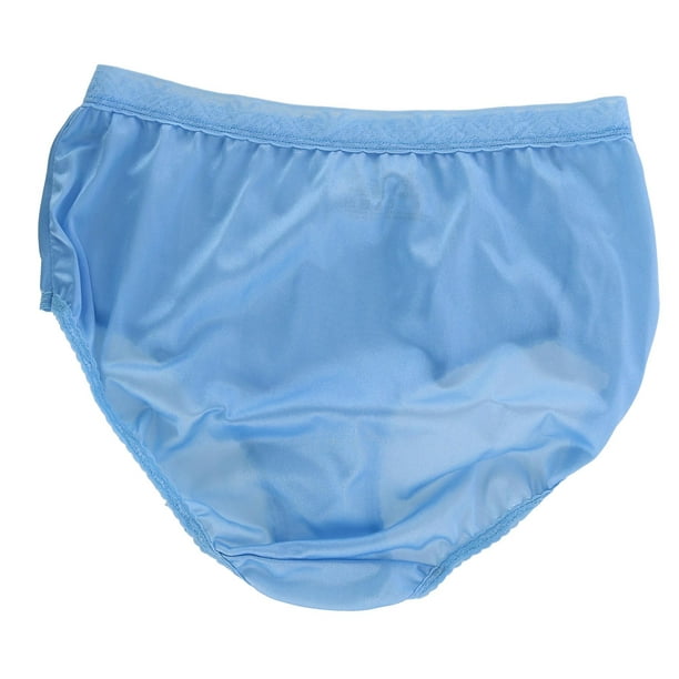 Buy Fruit Of The Loom Women's Underwear Nylon Brief Panties Online