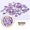 SP1404, variant on Nail Art Wood Pulp Slice Flower Mixed Nail Sticker DIY Accessories