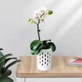 thumbnail image 5 of Macetas para Orquídeas con Agujeros, Maceta de Cerámica de 4 Pulgadas para Trasplantar Orquídeas y Otras Flores, 5 of 5
